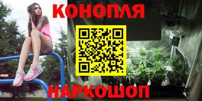 spice Моздок