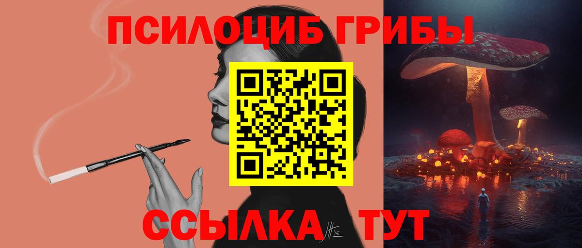 Галлюциногенные грибы Psilocybine cubensis  Вход с VPN  Владикавказ 